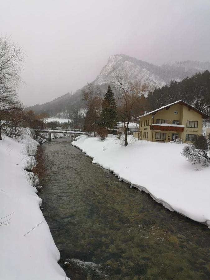 Gasthof Zum Falkenstein Hotell Schwarzau im Gebirge Exteriör bild